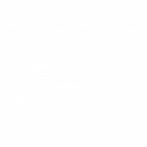 loader image
